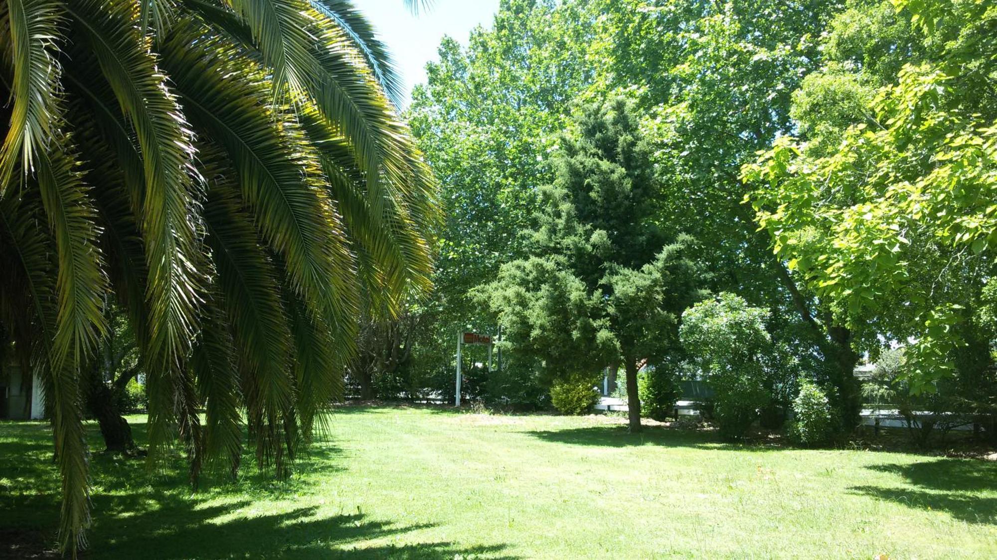 Kawerau Thermal Motel Εξωτερικό φωτογραφία
